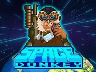 SpaceDonkey