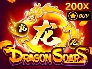 Dragon Soars