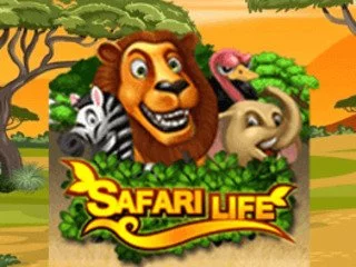 Safari Life
