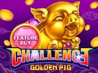 FEATURE BUY・GOLDEN PIG