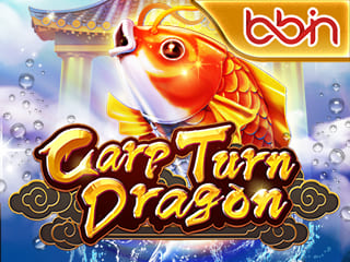Carp Turn Dragon