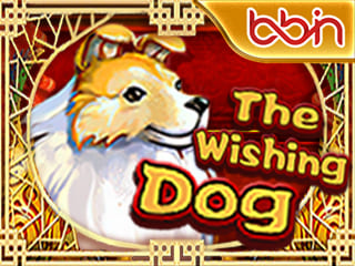The Wishing Dog