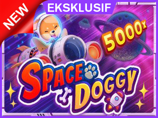 SpaceDoggyL