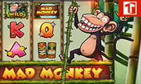 Mad Monkey H5